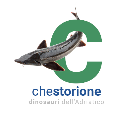 Chestorione