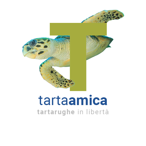 Tartamica