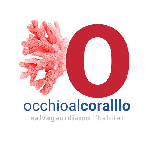 Occhioalcorallo