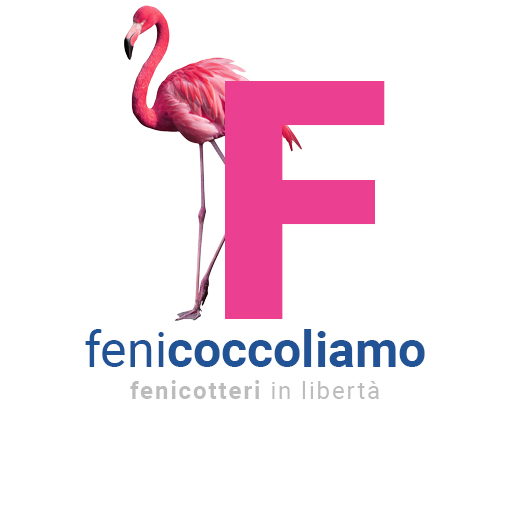 Fenicoccoliamo