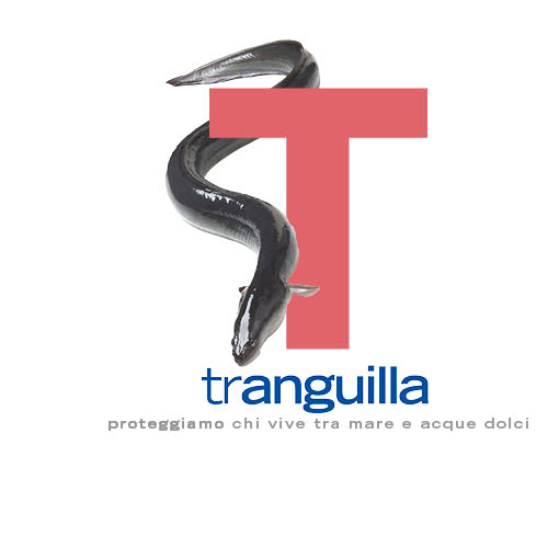 Tranguilla