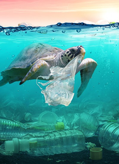 Plastifiniamola